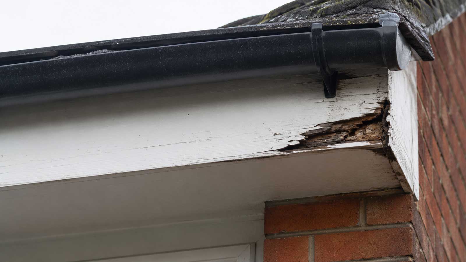 Roofing detail relevant to fascia and roof-edge repairs in stockport